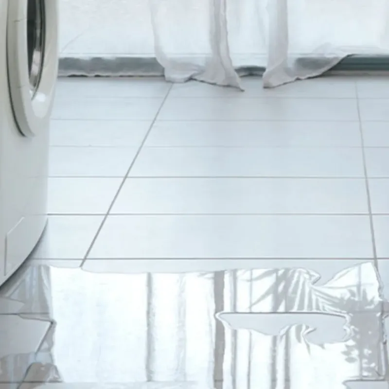 Appliance Leak Cleanup in New Chicago, IN