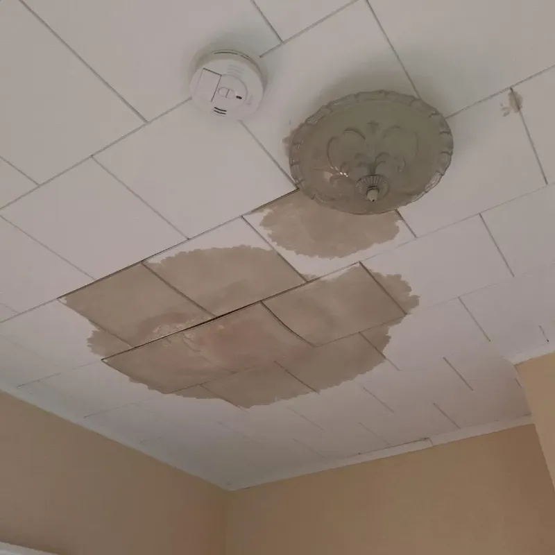 Ceiling Water Damage Repair in New Chicago, IN