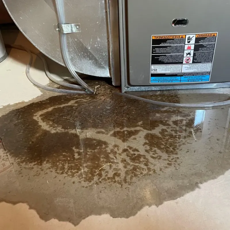 Pipe Burst and Leak Restoration in New Chicago, IN