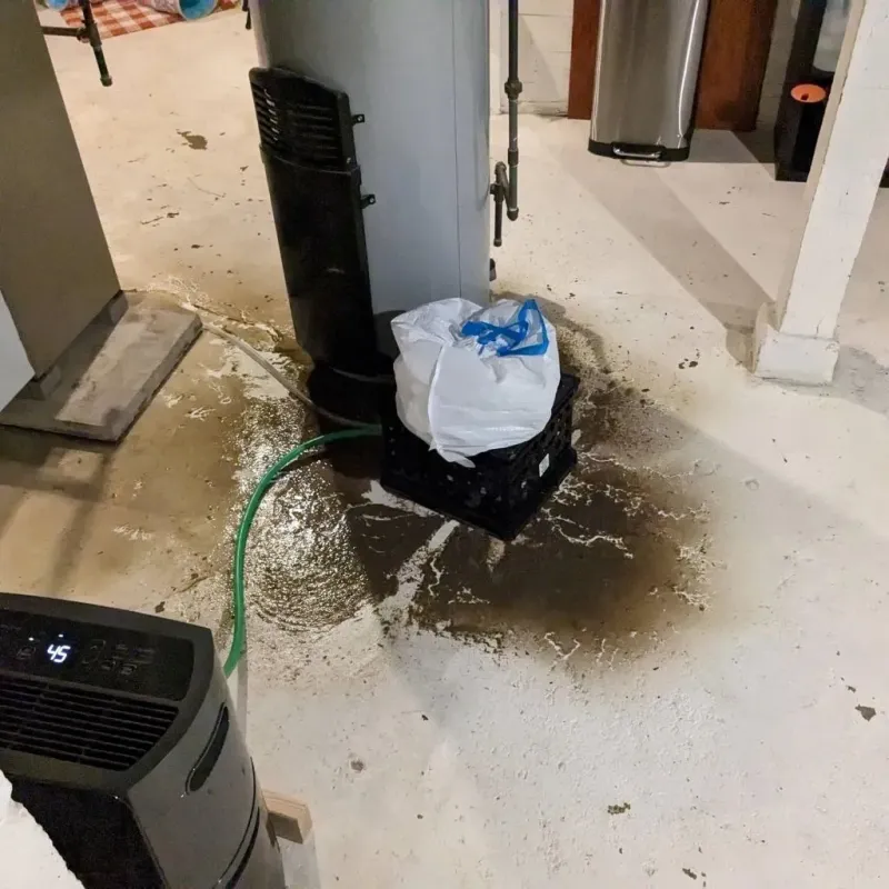 Sewage Backup Cleanup Service in New Chicago, IN